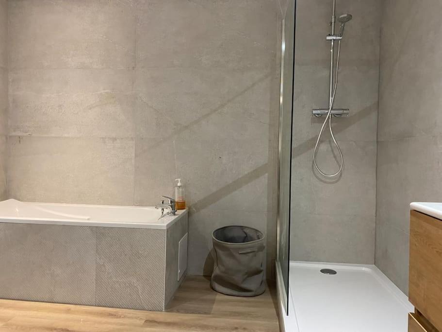 Maison Entiere 6 Personnes Jardin Terrasses Et Garage Нанси Экстерьер фото